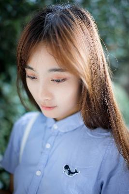 城中之城电视剧免费观看全集