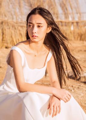 疯狂动物城2(国语版)